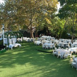 Pasha Garden
