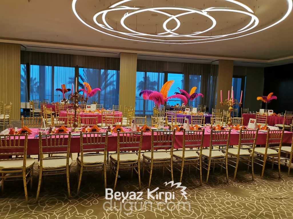 Beyaz Kirpi Organizasyon