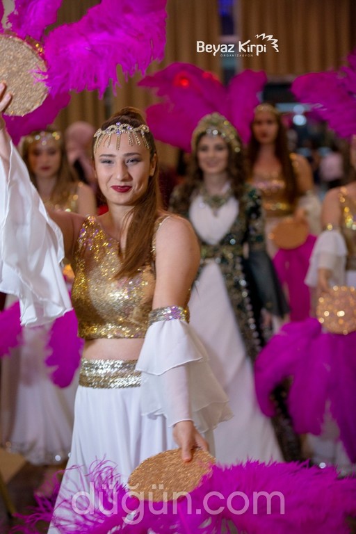 Beyaz Kirpi Organizasyon