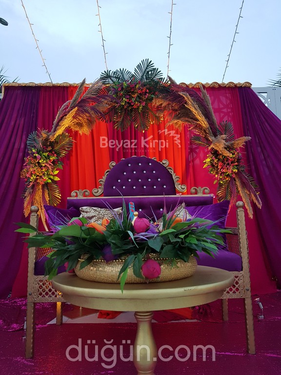 Beyaz Kirpi Organizasyon