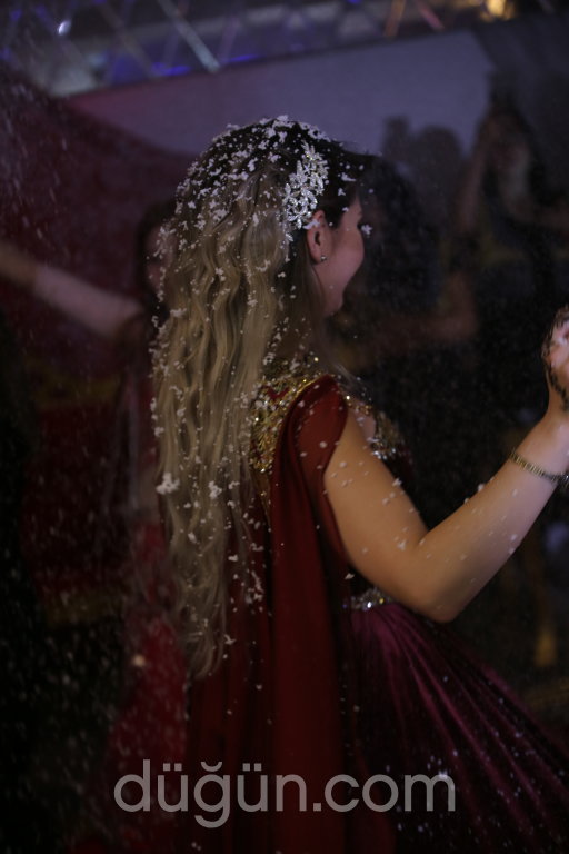 Sapphire Organizasyon