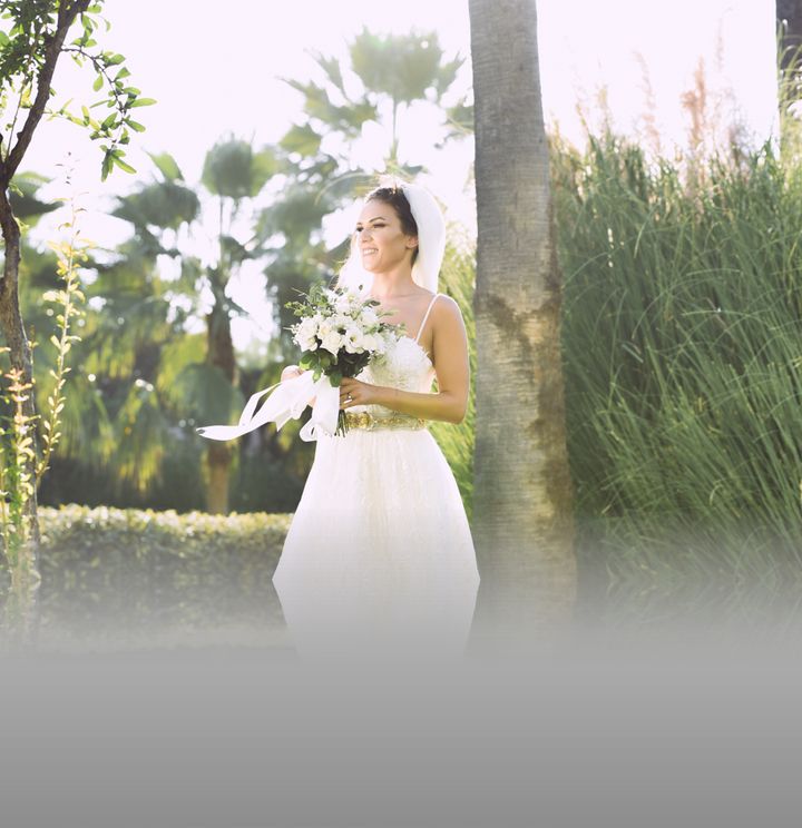 Orange Pv Wedding