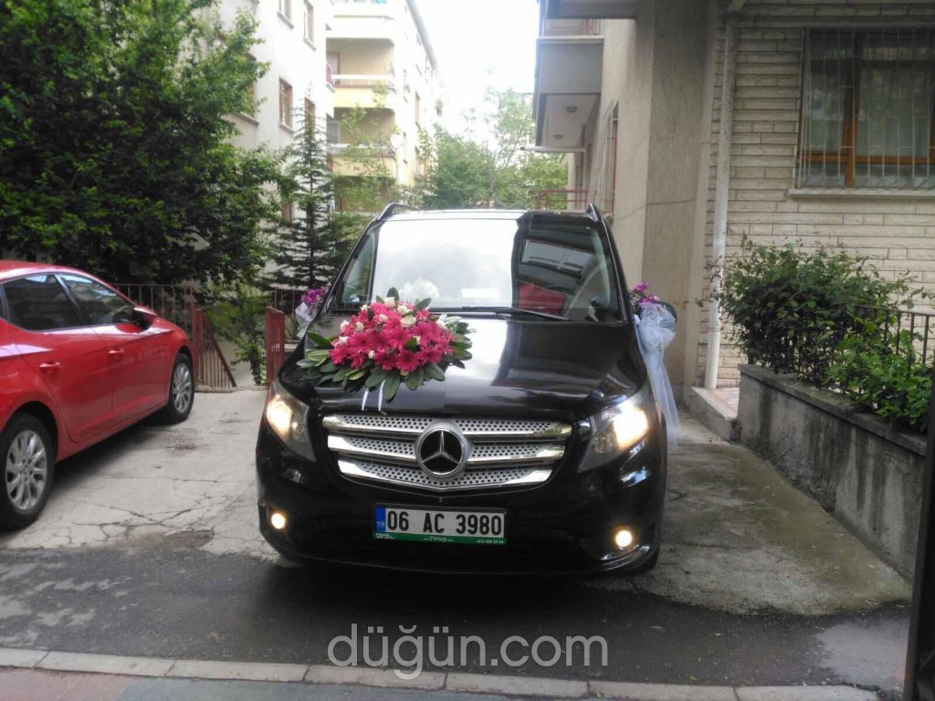 Tursoy Gelin Arabası