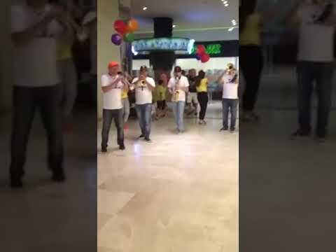 Ms Müzik Organizasyon