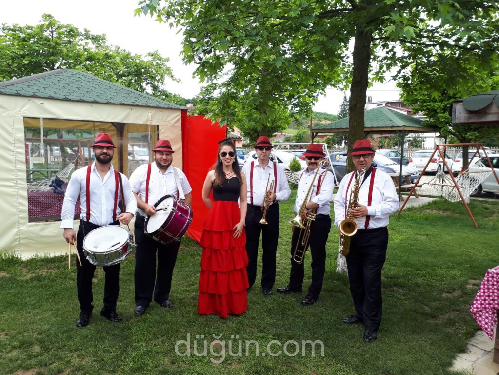 Ms Müzik Organizasyon