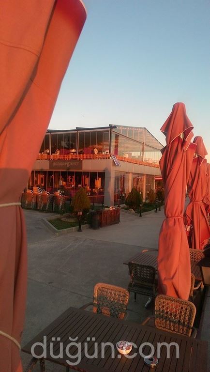 Medcezir Hungry Ghost