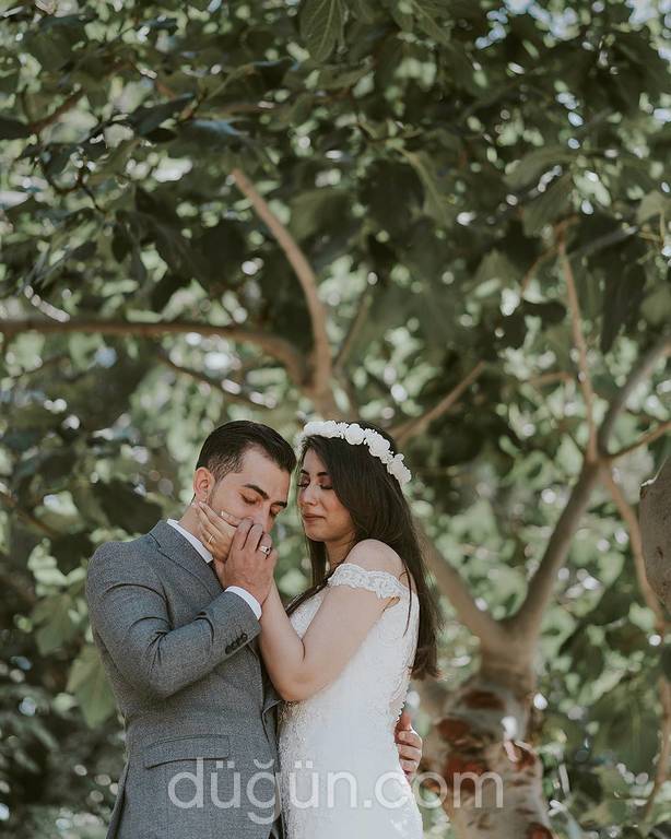 Mekhamer Photography