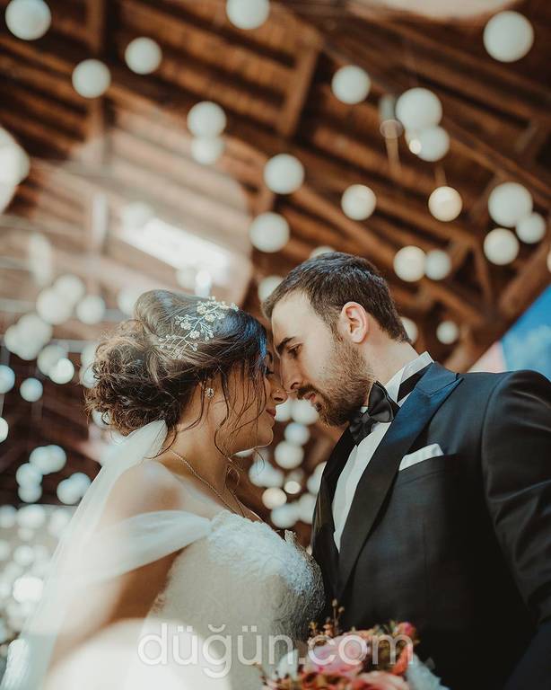 Mekhamer Photography