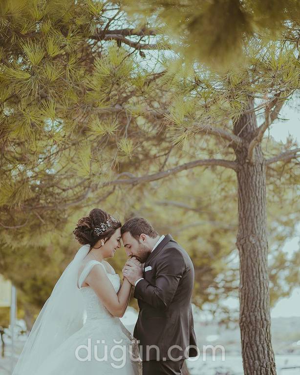 Mekhamer Photography