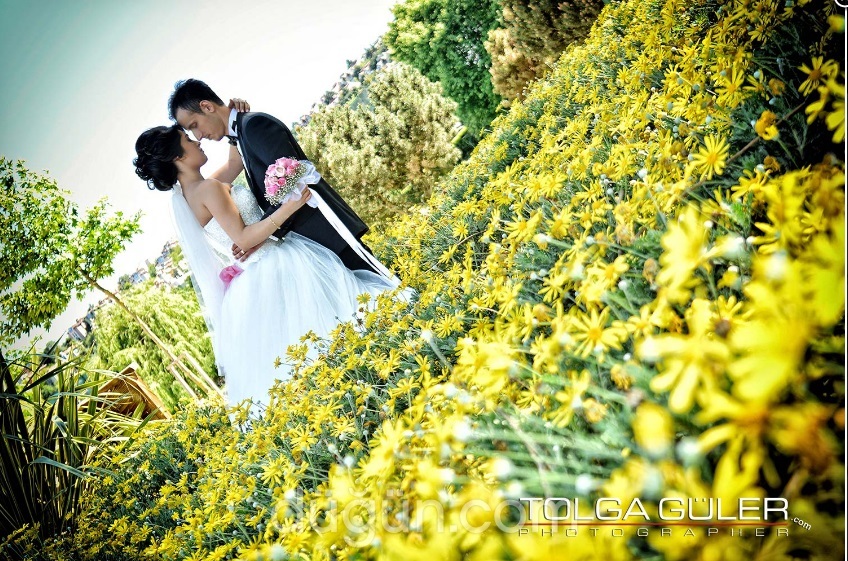 Tolga Güler Photographer 