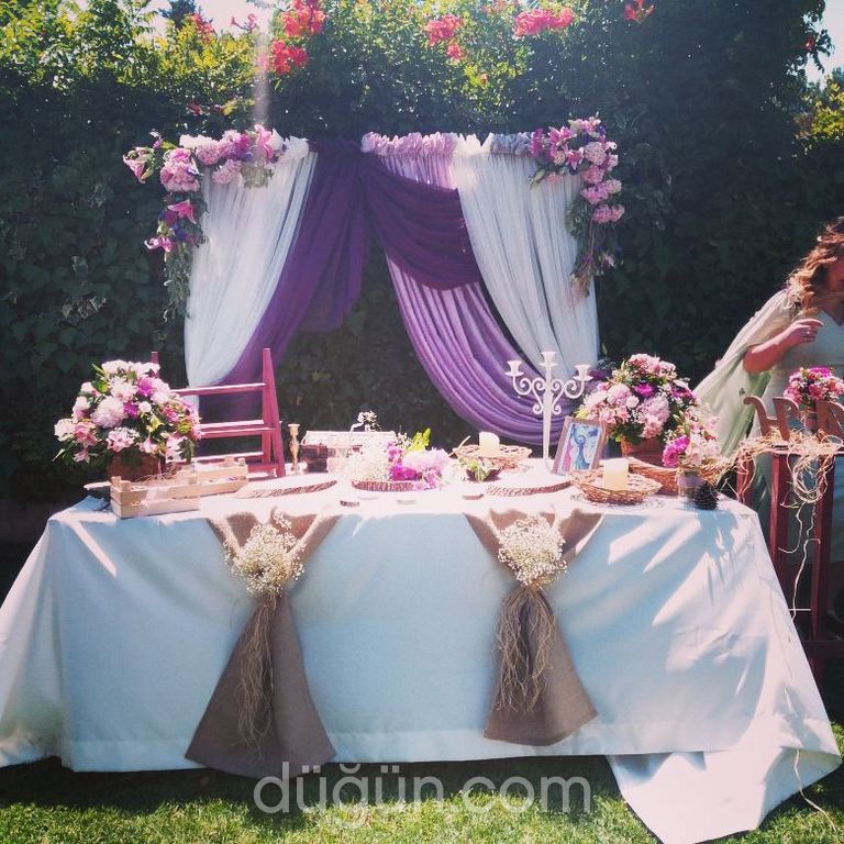 Mavi Yosun Organizasyon 