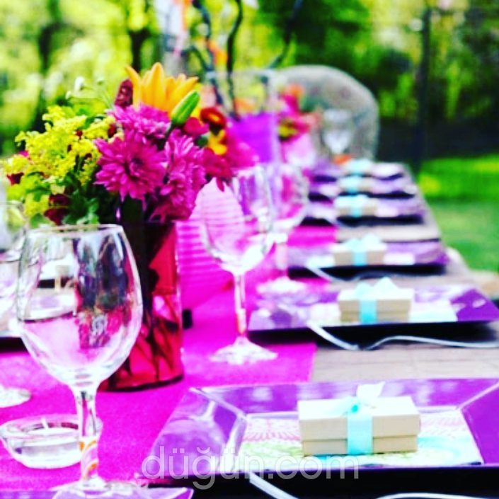 Mavi Yosun Organizasyon 