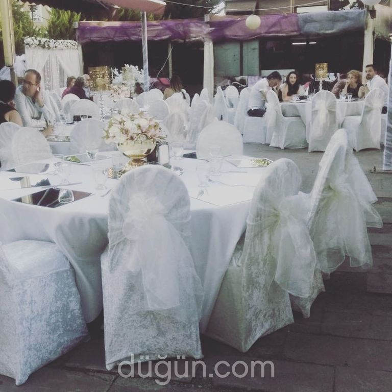 Mavi Yosun Organizasyon 