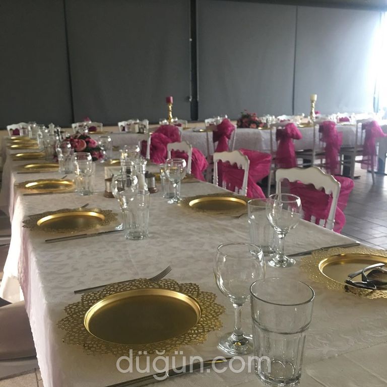 Mavi Yosun Organizasyon 