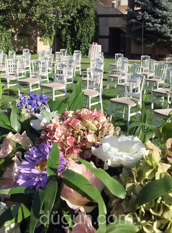 Hotel Excellence Inn