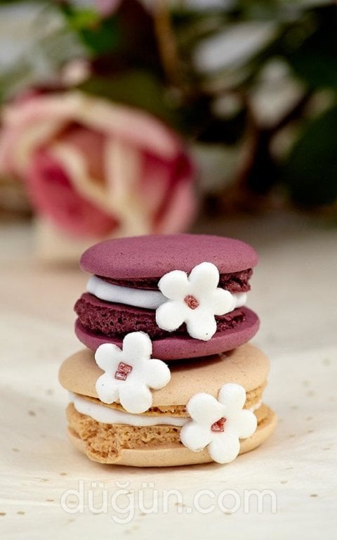 Nilabelle Macaron