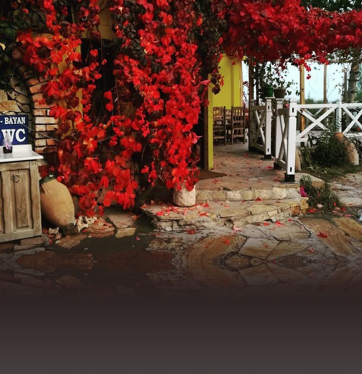 Bizim Ev Restaurant
