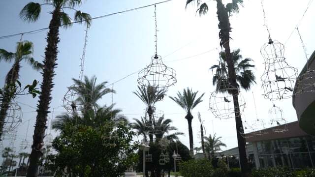 Yavuz Şanaldı Photography