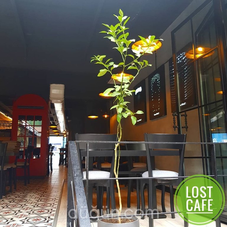 Lost Restaurant & Bar