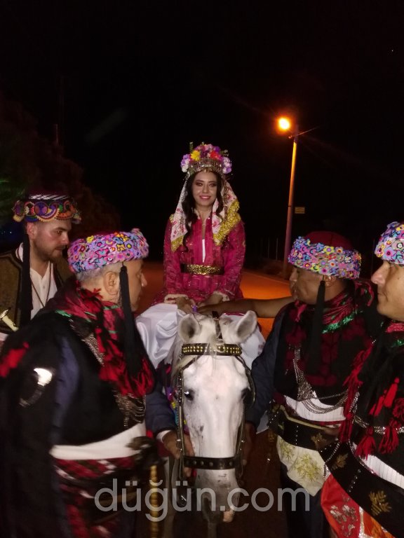 Sultan-i Kına Organizasyon