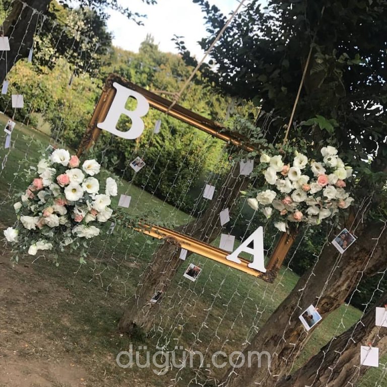 Succe Life Organizasyon