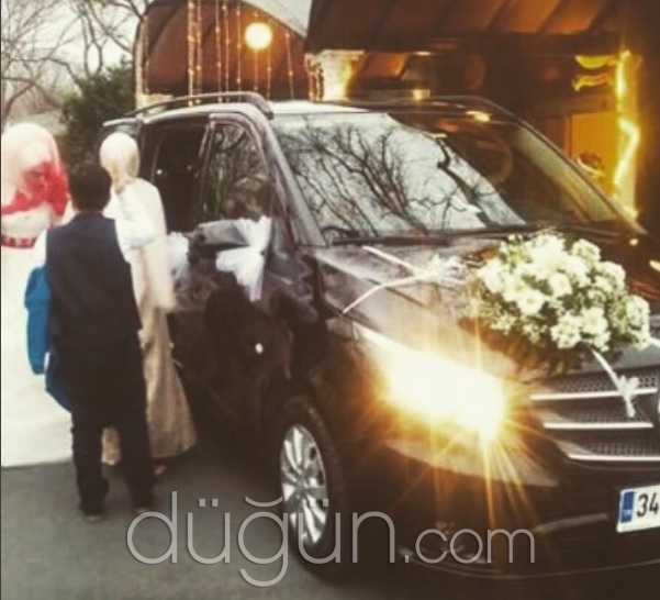 Arabası Gelin