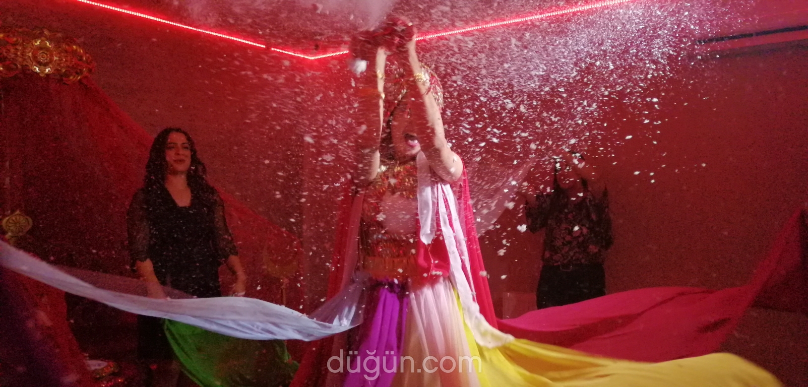 Şemsiye Organizasyon