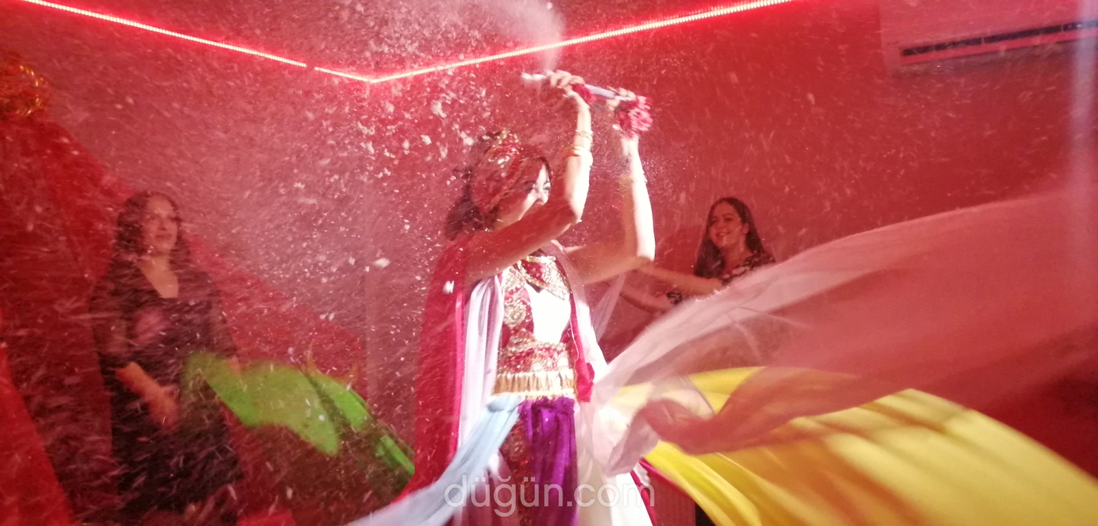 Şemsiye Organizasyon