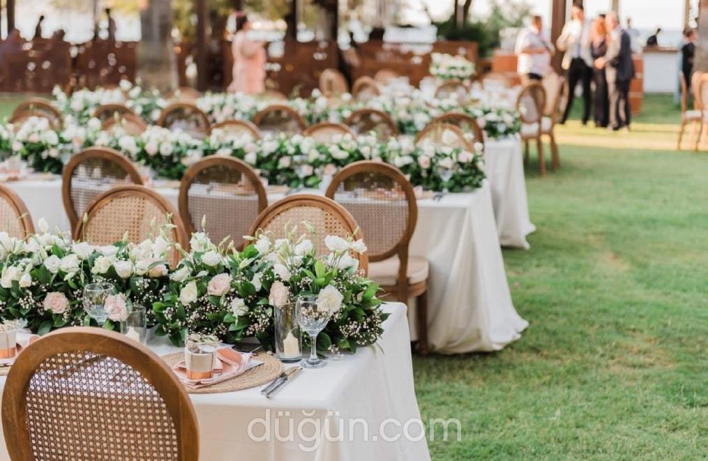 Pelince Organizasyon