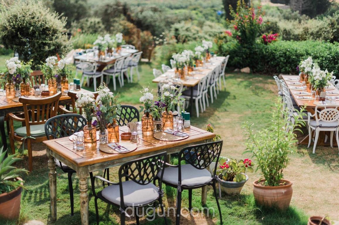 Pelince Organizasyon