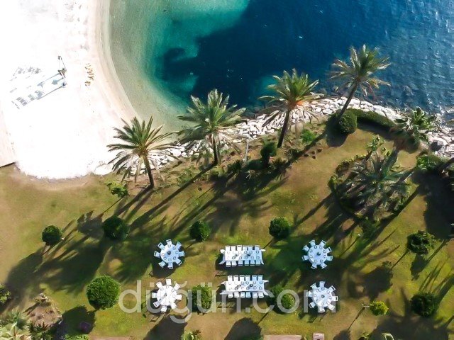 Pelince Organizasyon