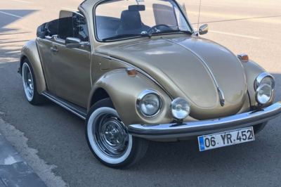 Green Happiness Car