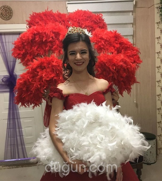 Aydemir Organizasyon