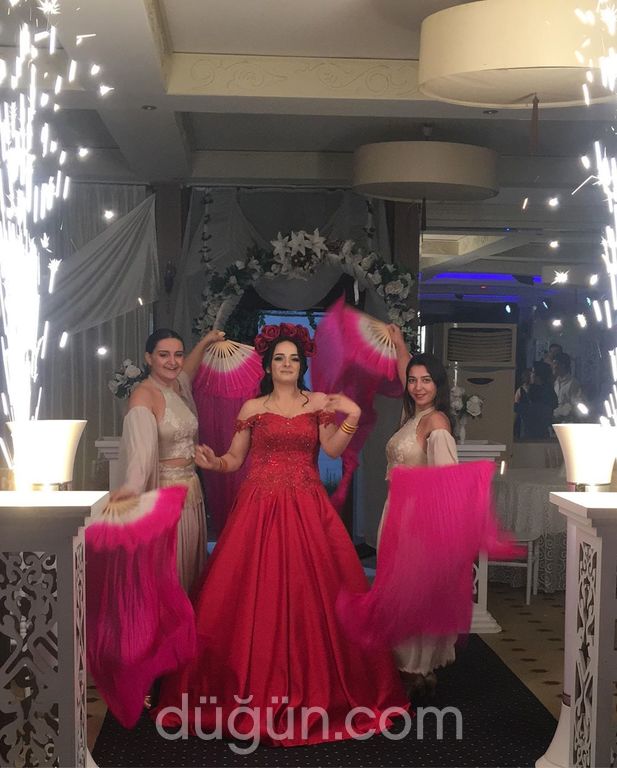 Aydemir Organizasyon