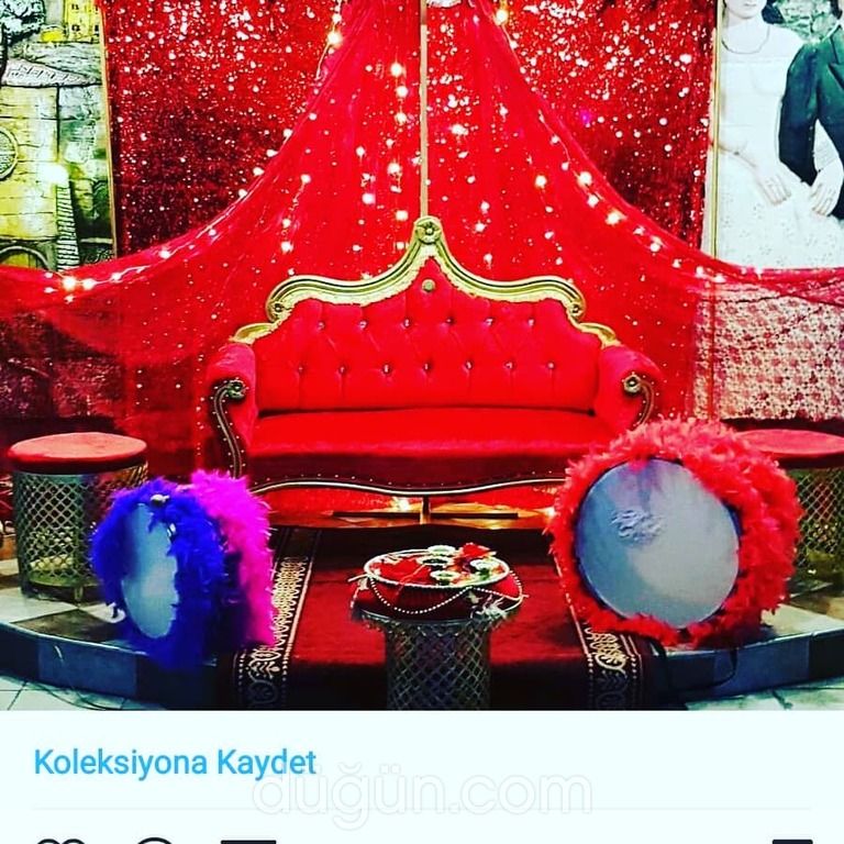 Gümüş Organizasyon