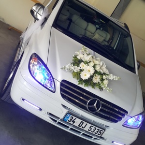 Vito Gelin Arabası