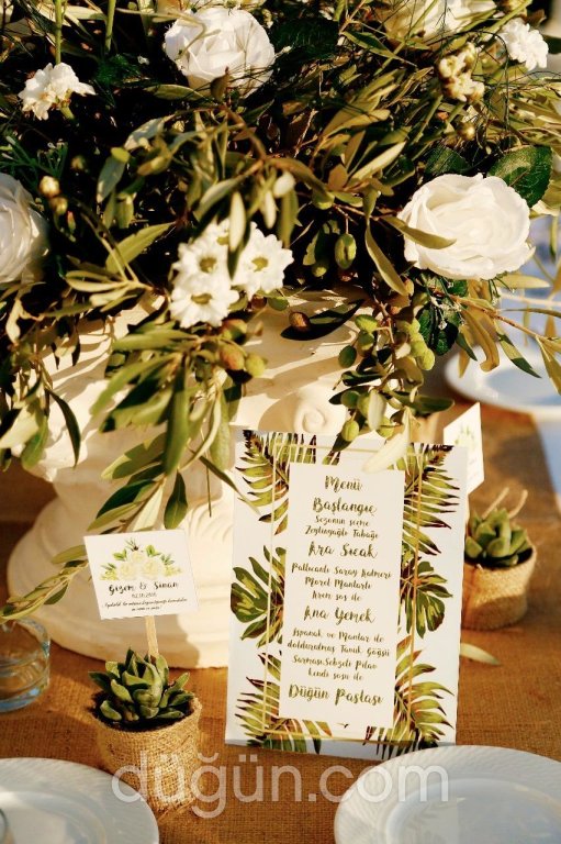 Su Tasarım Organizasyon