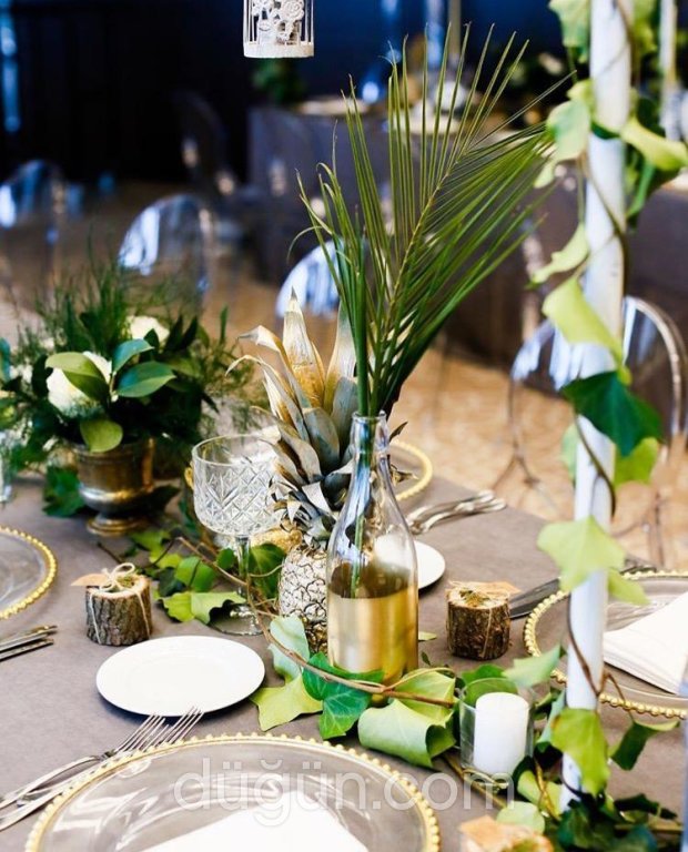 Su Tasarım Organizasyon