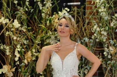 Elite Plus Moda Evi
