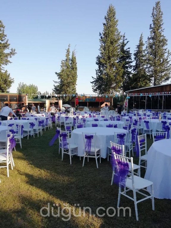 Arashan Kır Düğünü
