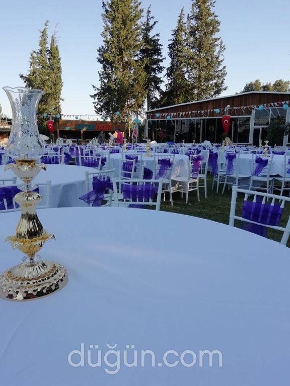 Arashan Kır Düğünü