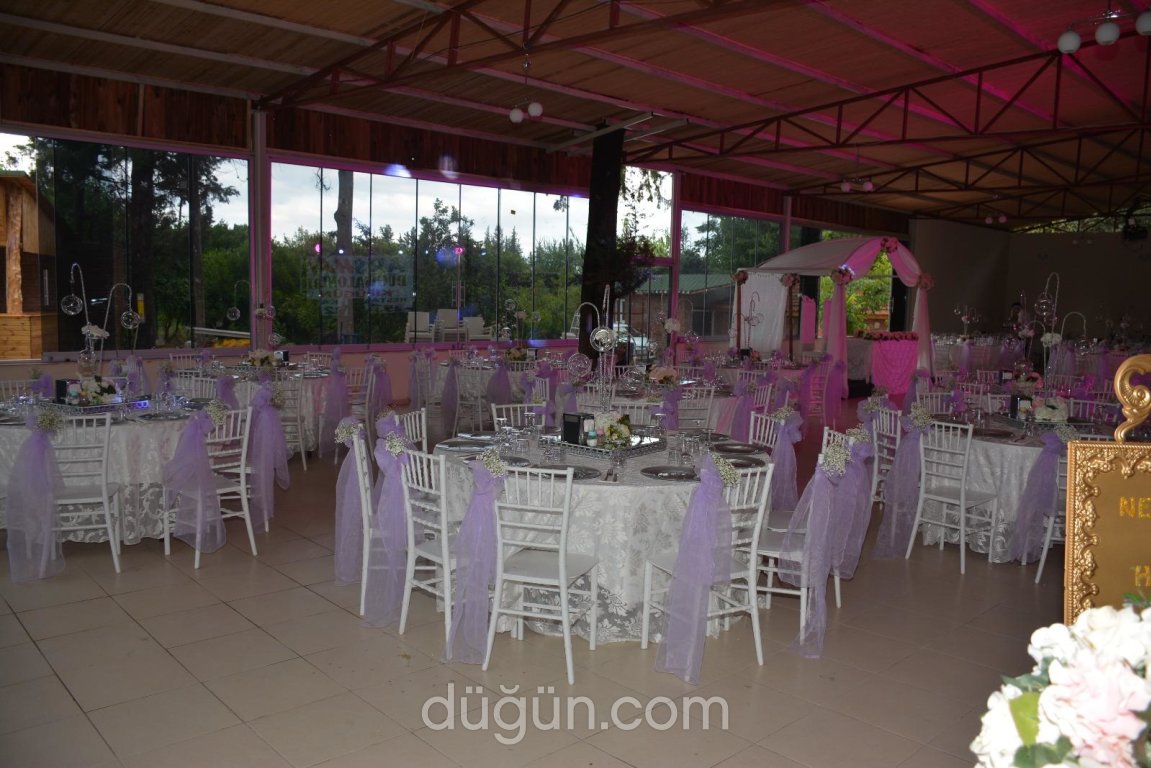 Arashan Kır Düğünü