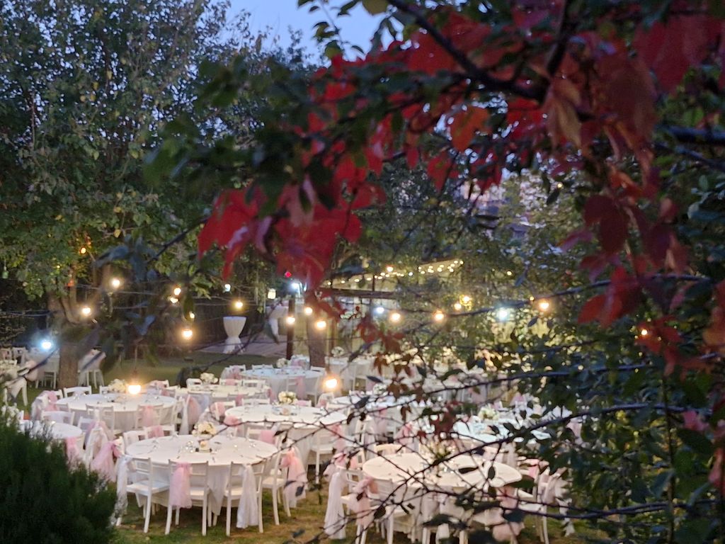 Doğa Park Bayramoğlu Kır Düğünü - 2497692