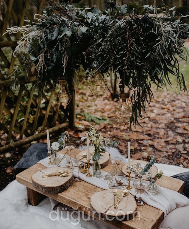 Organizasyon Melekleri