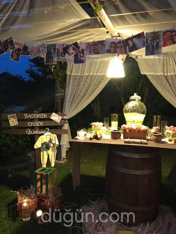 Organizasyon Melekleri