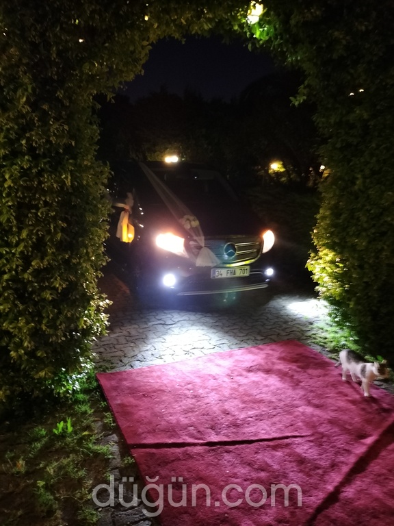 Aras Vip Gelin Arabası