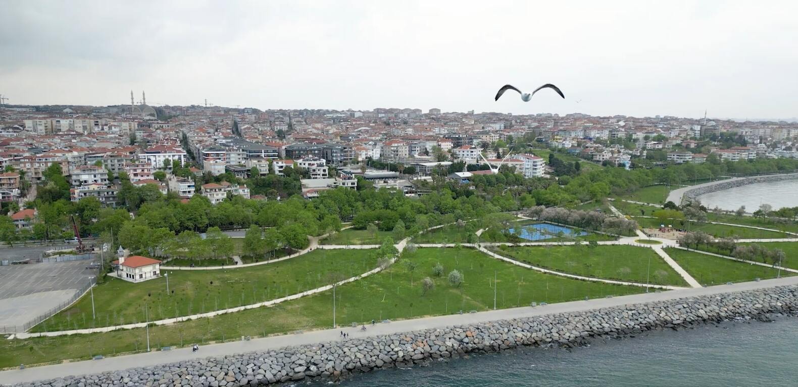 Avalon Davet