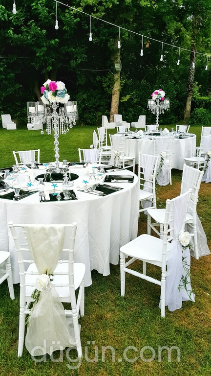 Hera Tasarım Organizasyon