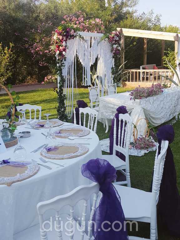 Hera Tasarım Organizasyon