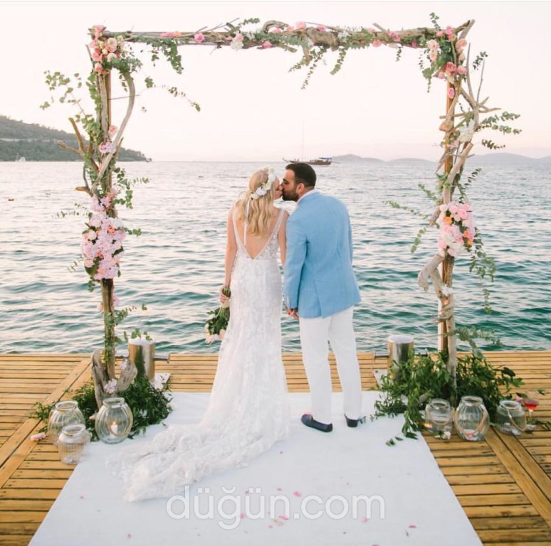 Rüzgar Organizasyon